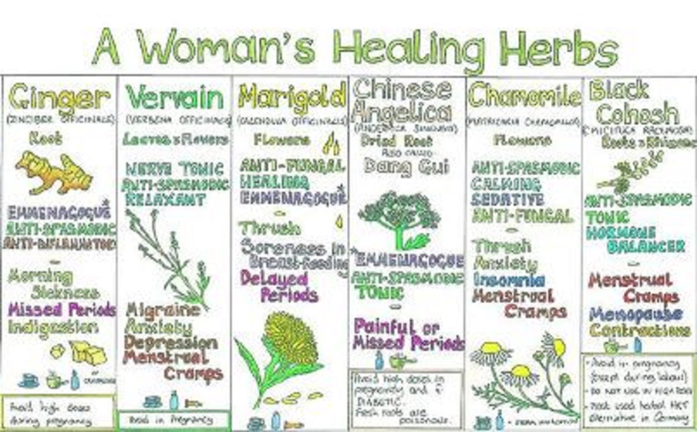 HEALING HERBS FOR WOMEN